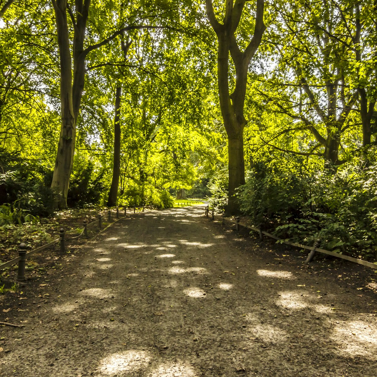 Tiergarten, Park