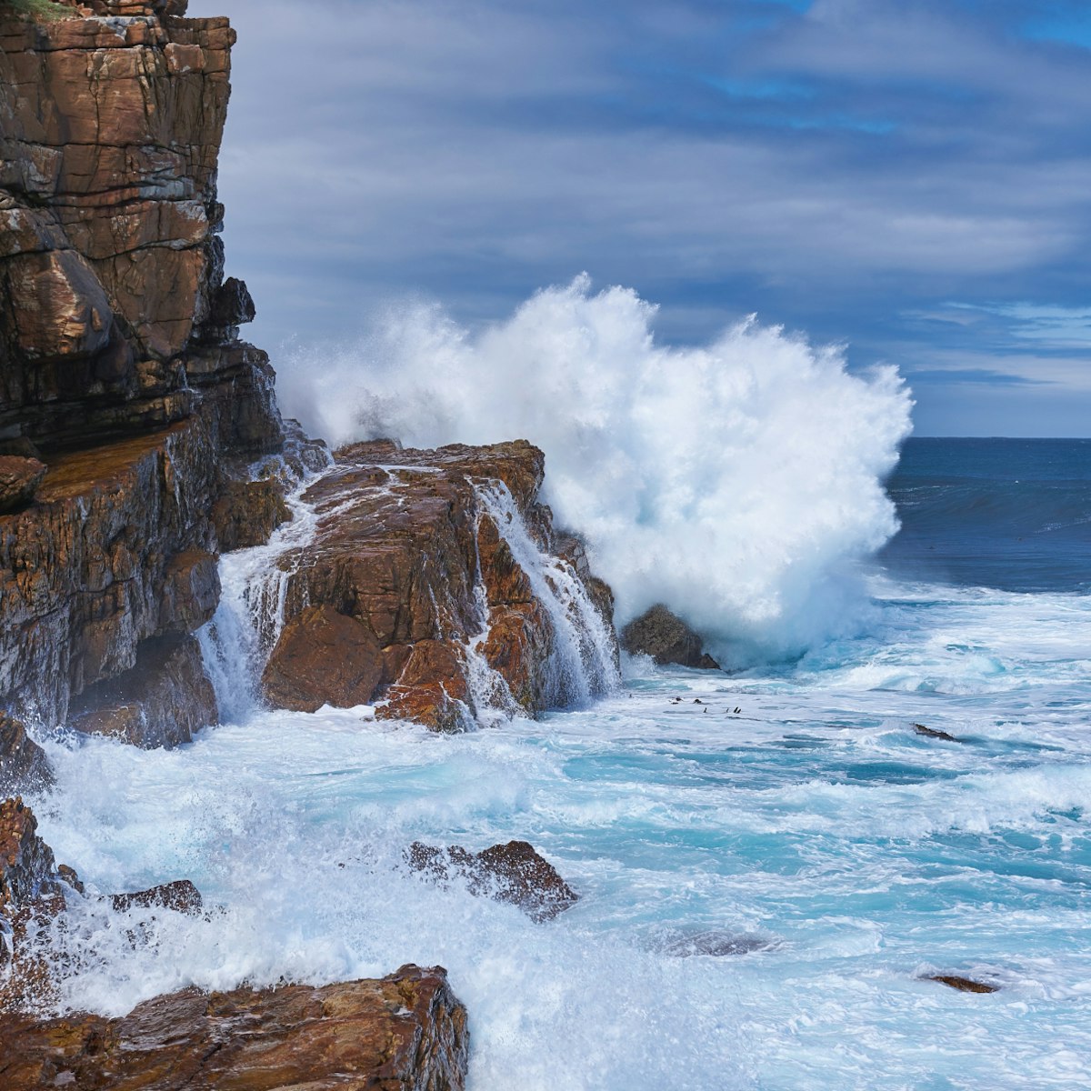 Cape of Good Hope