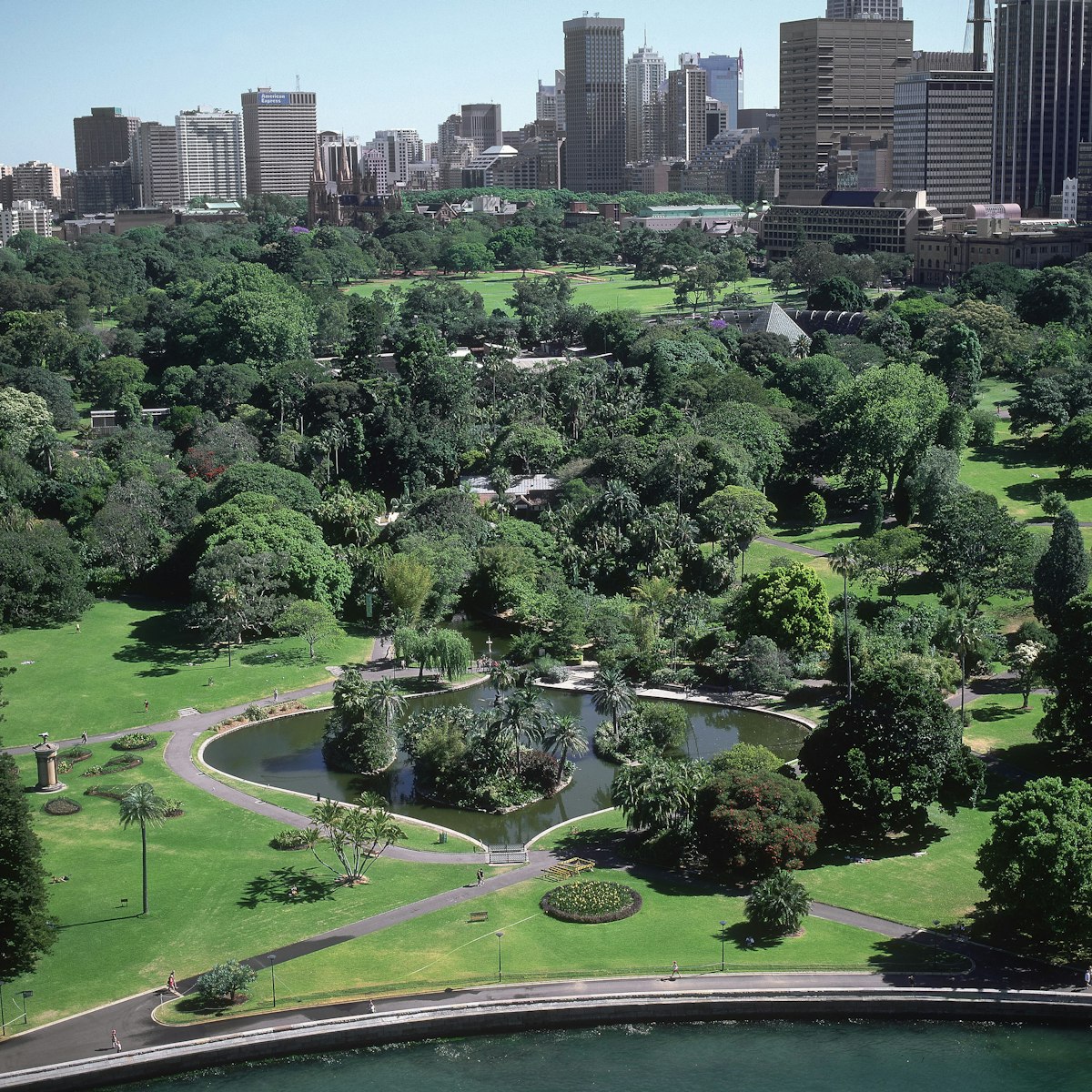 aerial view of royal botanic gardens, sydney