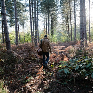 Man mushroom hunting in Canterbury.