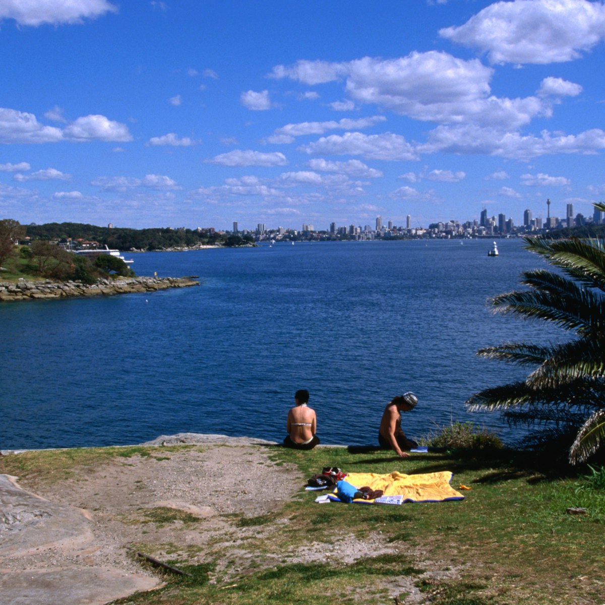 Sunbaking with a view on the bluff at Camp Cove.